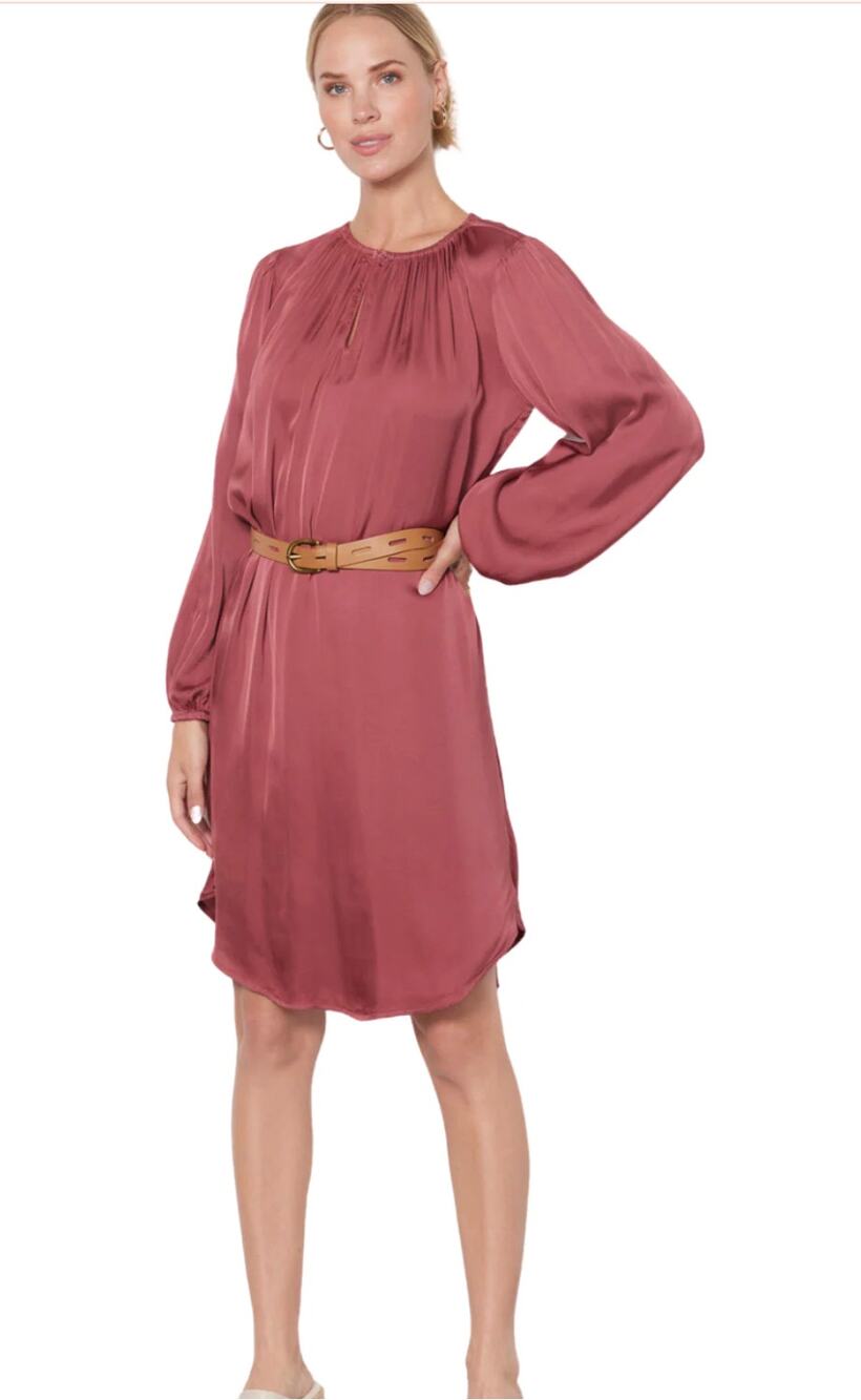 VELVET by GRAHAM & SPENCER NWT Adela Mauve Silky Long Sleeve Shift Dress // XS